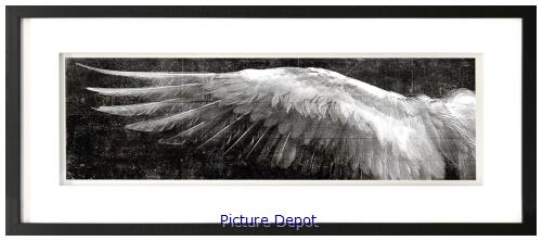 Picture of Angel Wings Black L        GL01302