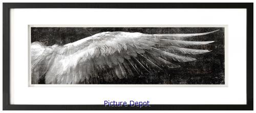 Picture of Angel Wings Black R GL01303