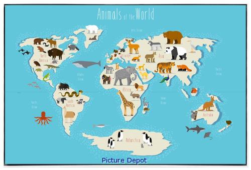 Picture of Animals of the World CA OP0770-1