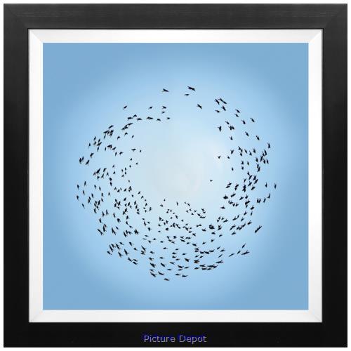 Picture of Birds Flying in a Circle               GL0735