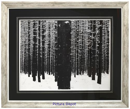 Picture of A Snowy Forest GL01262