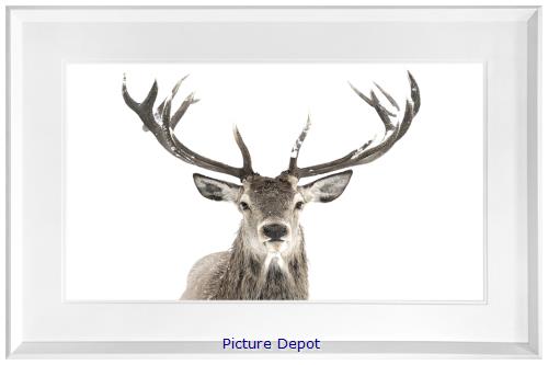Picture of Antler              GL146