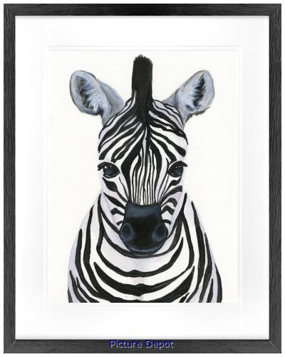 Picture of Zebra Babe GL1851   