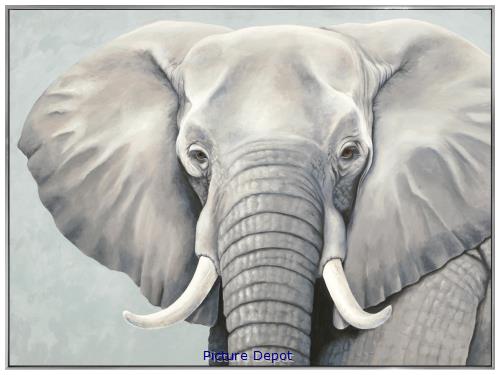 Picture of African Elephant                            OP1391-1