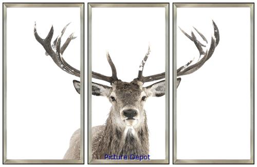 Picture of Triptych  Antler                               GL01250