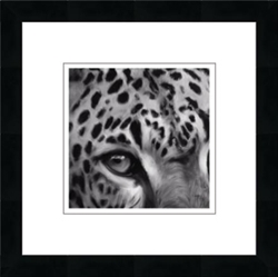 Picture of EYE OF THE  LEOPARD                    39661 