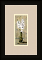 Picture of ORNITHOGALUMS          33840-1 