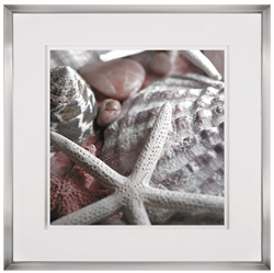 Picture of Starfish Collection 1                      39986 