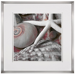 Picture of Starfish Collection 11                          39987 