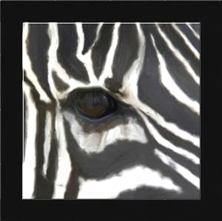 Picture of EYE OF THE ZEBRA 1          39616)