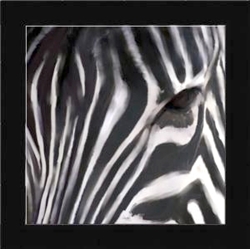 Picture of EYE OF THE ZEBRA 11          39617 