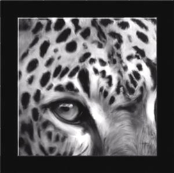 Picture of EYE OF THE LEOPARD           39614 