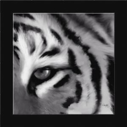 Picture of EYE OF THE TIGER         39615 