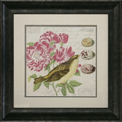 Picture of Bird Study I ( GL00088 )