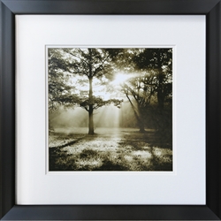 Picture of Misty Forest Sepia GL00195