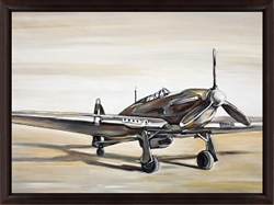 Picture of Old Plane                    OP91525