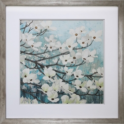 Picture of Dogwood Blossoms GL00318