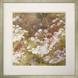 Picture of Gilded Hydrangea II      GL00372