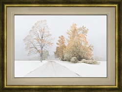 Picture of Autumn Snowfall  GL00815