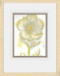 Picture of Belle Fleur Yellow II GL00927