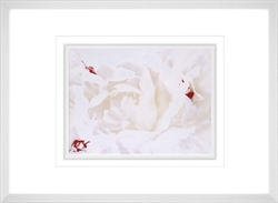 Picture of White Linen Peony I GL00935