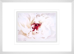 Picture of White Linen Peony II  GL00936