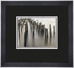 Picture of Hudson River Pilings  GL00978