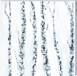 Picture of Birches on White       OP00311