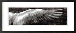 Picture of Angel Wings Black R GL01303