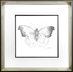 Picture of Butterfly study I GL1518