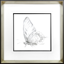 Picture of Butterfly study II GL1519