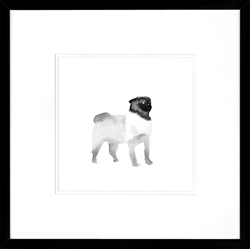 Picture of Black Dog Series V GL01351