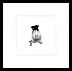 Picture of Black Dog Series VIII  GL01354