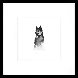 Picture of Black Dog Series VII GL01353