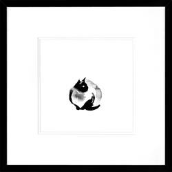 Picture of Black Cat Series III     GL01357