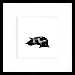 Picture of Black Cat Series IV  GL01358