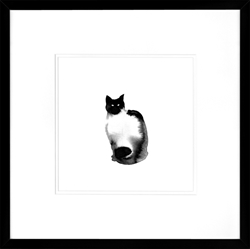 Picture of Black Cat Series VIII    GL01362