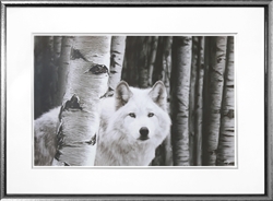 Picture of White Wolf   GL01448