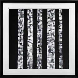 Picture of Birches On Black II  GL1510