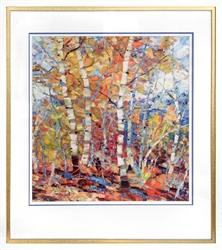 Picture of Birch Colors II        GL01528