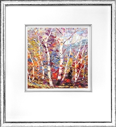 Picture of Birch Colors II   GL01439