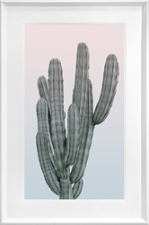 Picture of Cactus I GL140