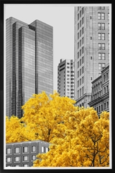 Picture of Building and Yellow Tree GL1520