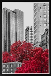 Picture of Building and Red Tree GL1522