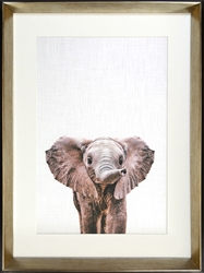 Picture of Baby Elephant GL01608