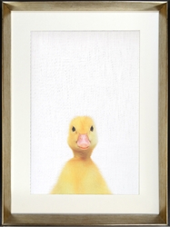 Picture of Duck  GL01614