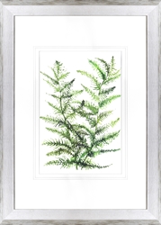 Picture of Wild Greens II    GL01837