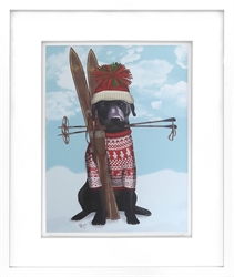 Picture of Black Labrador, Skiing GL01858
