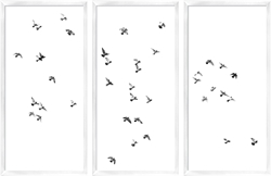 Picture of Birds Flying                                GL1659