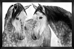 Picture of Winter Horses                GL1660